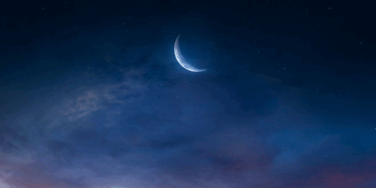 Ⓒ Hak cipta foto di atas dikembalikan sesungguhnya kepada pemilik foto